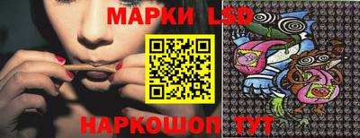 винт Донецк