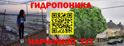 винт Донецк