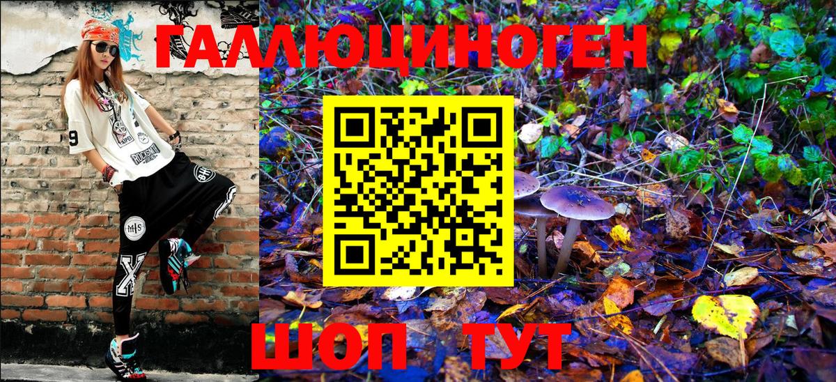 Галлюциногенные грибы Psilocybe  Псилоцибиновые грибы Psilocybe  Вход с VPN  Мурманск 