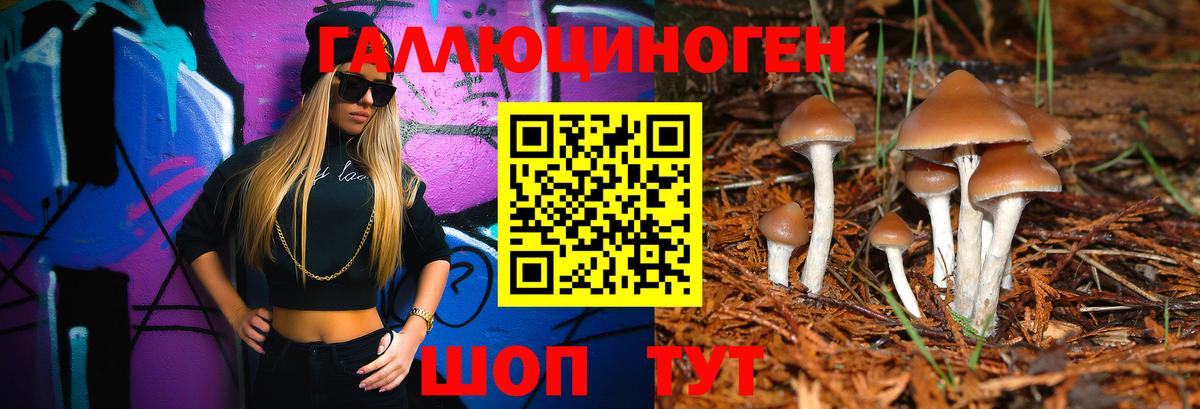 Галлюциногенные грибы MAGIC MUSHROOMS Мурманск